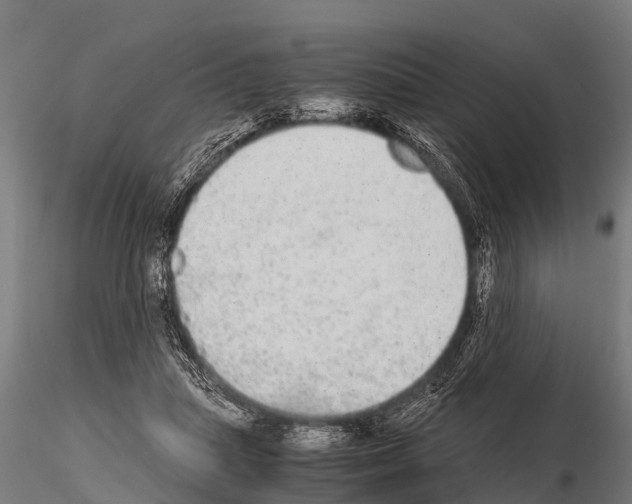 X0000115210455200912091202