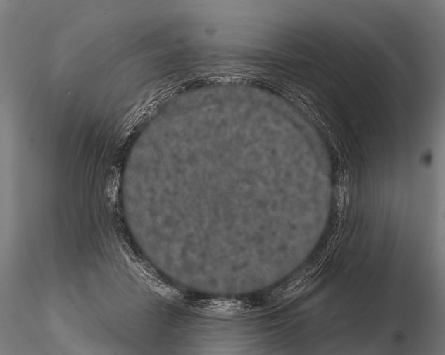 X0000115210458200912091202