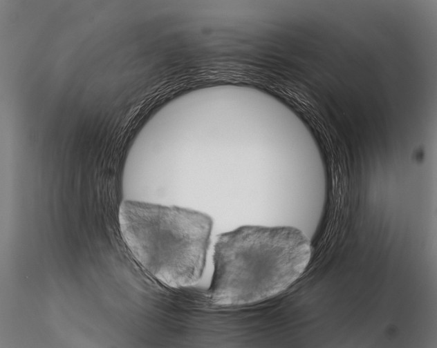 X0000115210461200912091202