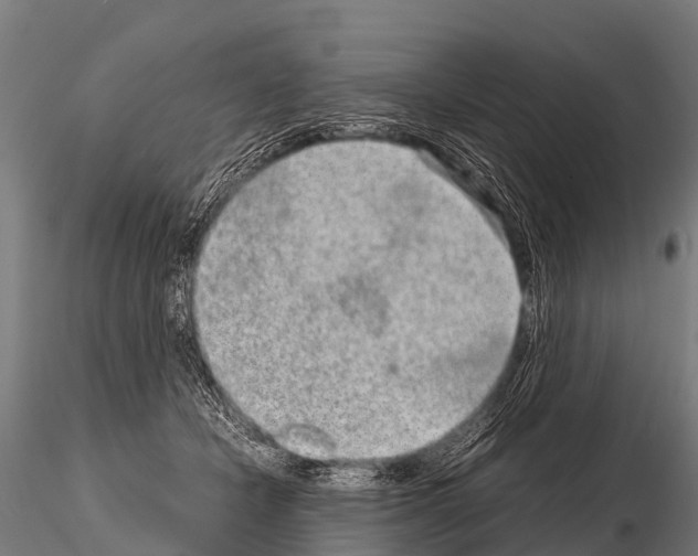 X0000115210462200912091202