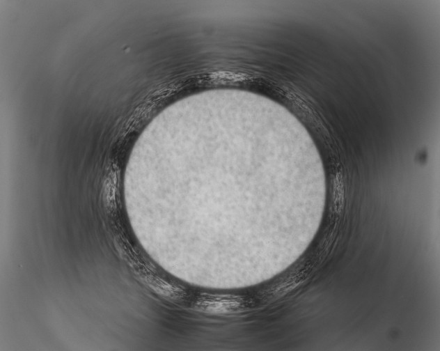 X0000115210463200912091202