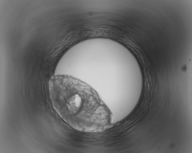 X0000115210465200912091202