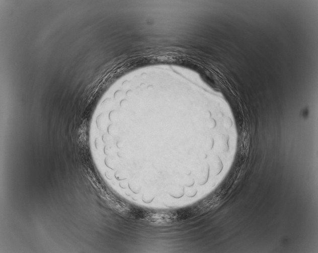 X0000115210466200912091202