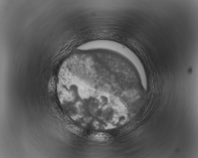 X0000115210467200912091202