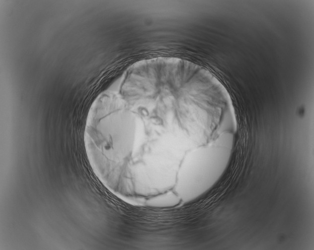 X0000115210469200912091202