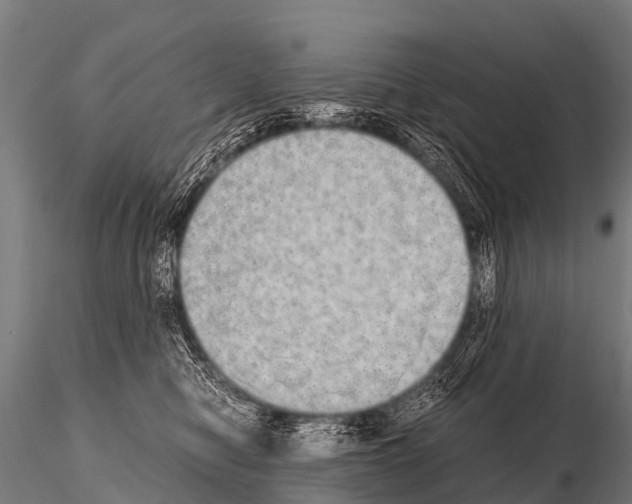 X0000115210470200912091202