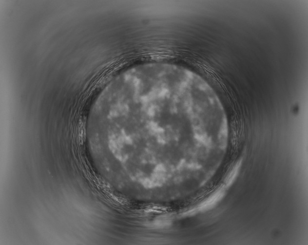 X0000115210471200912091202