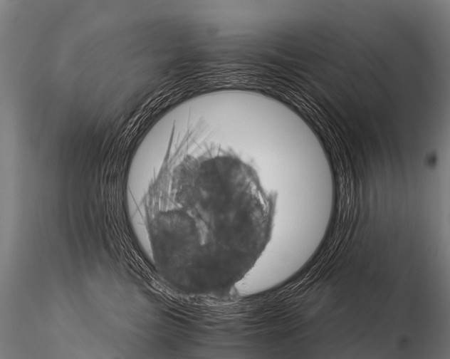 X0000115210473200912091202