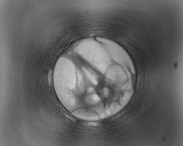 X0000115210475200912091202