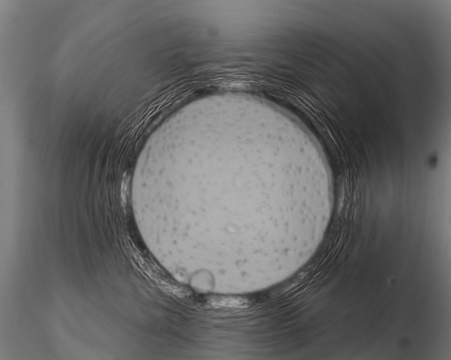 X0000115210476200912091202