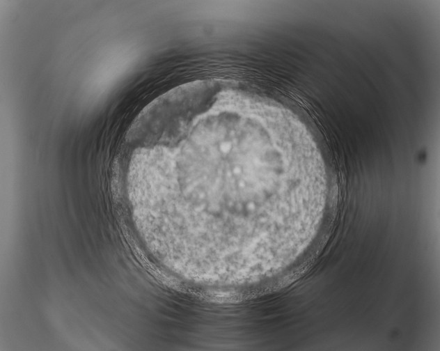 X0000115210477200912091202