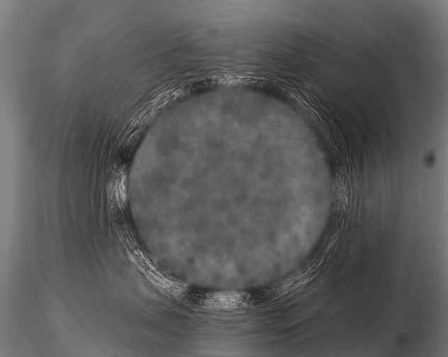 X0000115210479200912091202