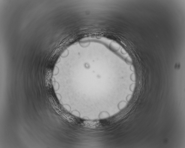 X0000115210480200912091202