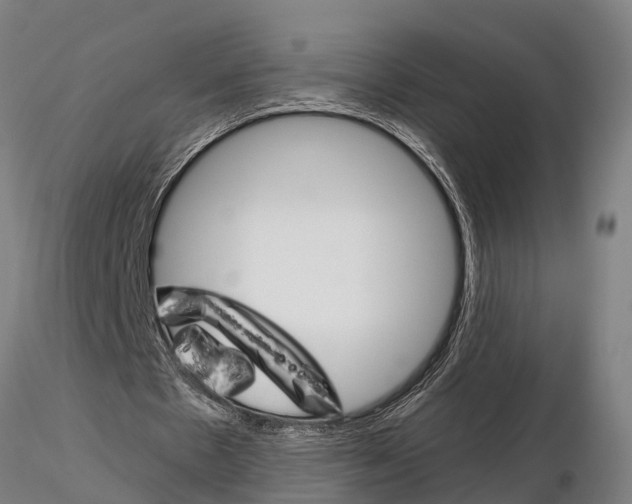 X0000115210481200912091201