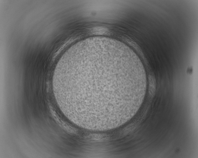 X0000115210482200912091201