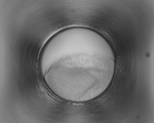 X0000115210484200912091201