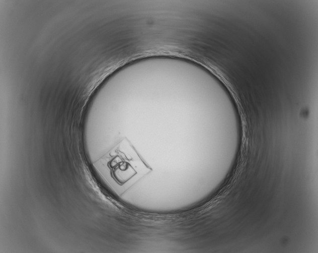 X0000115210485200912091201