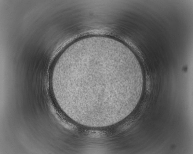 X0000115210486200912091201