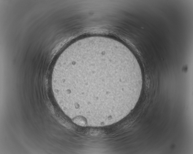 X0000115210487200912091201