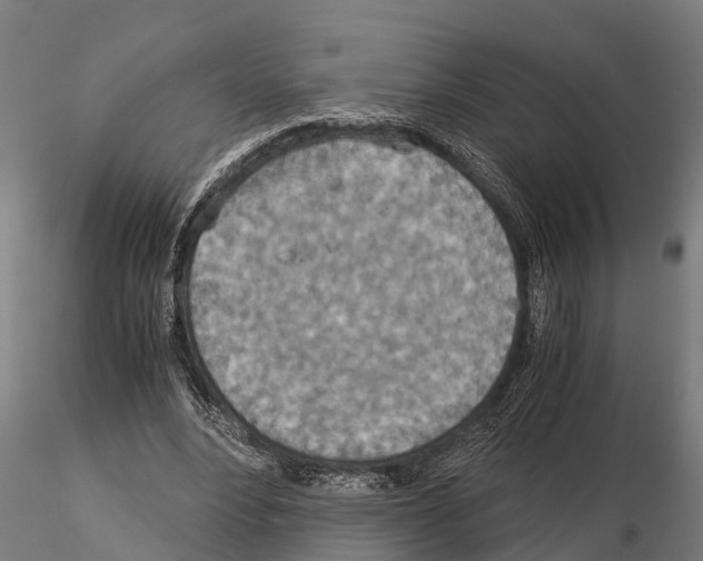 X0000115210488200912091201