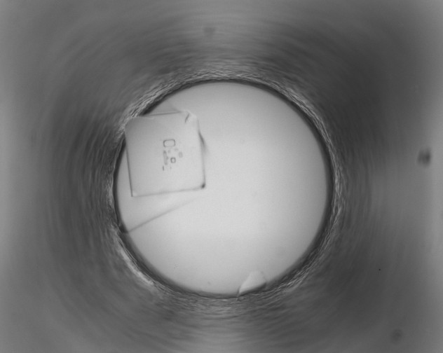 X0000115210489200912091201