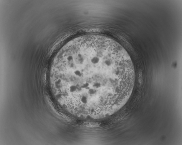 X0000115210491200912091201