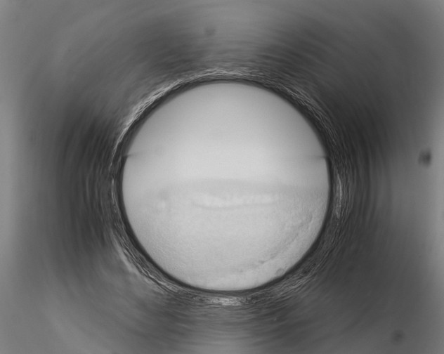 X0000115210492200912091201