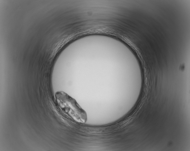 X0000115210493200912091201