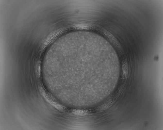 X0000115210494200912091201