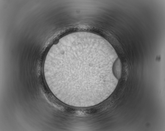 X0000115210496200912091201