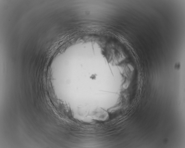 X0000115210497200912091201