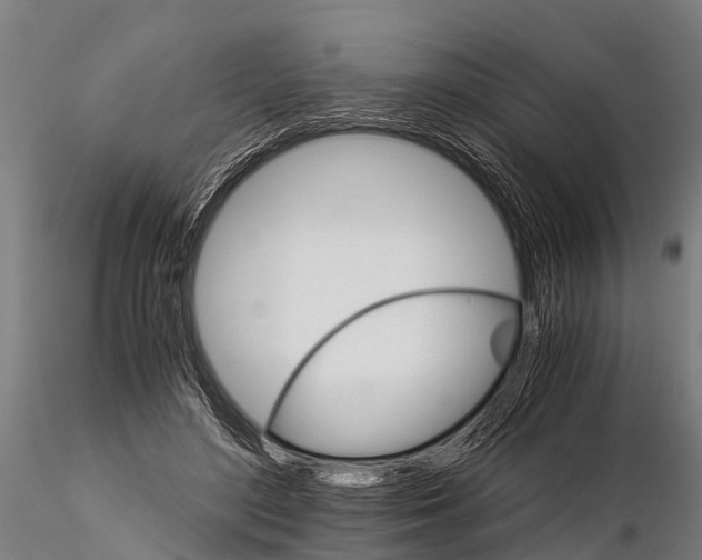 X0000115210500200912091201