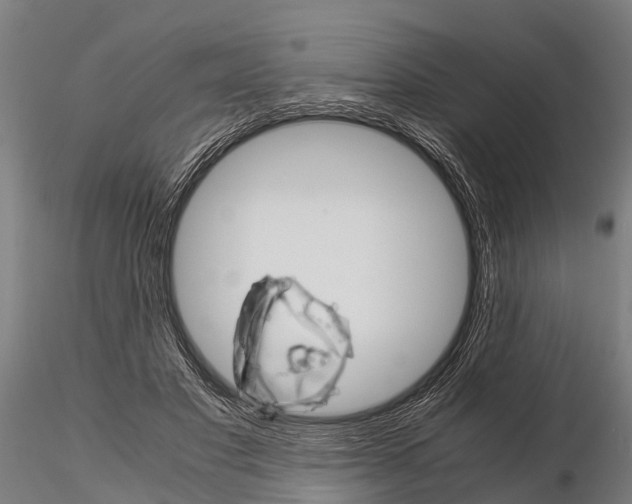 X0000115210501200912091201