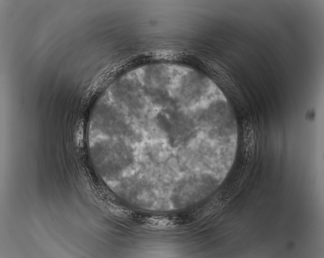 X0000115210502200912091201