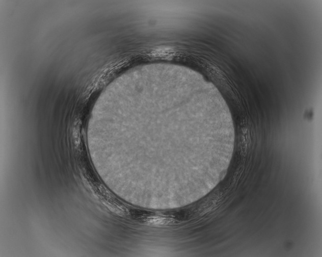 X0000115210504200912091201