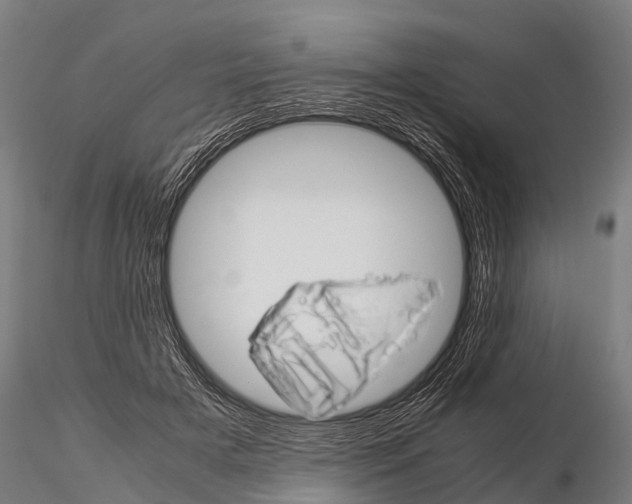 X0000115210505200912091201