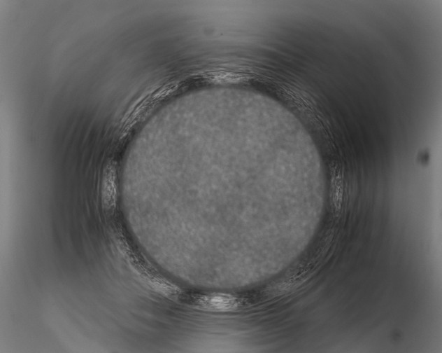 X0000115210506200912091201