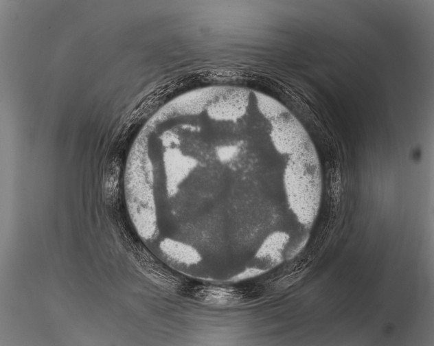 X0000115210507200912091201