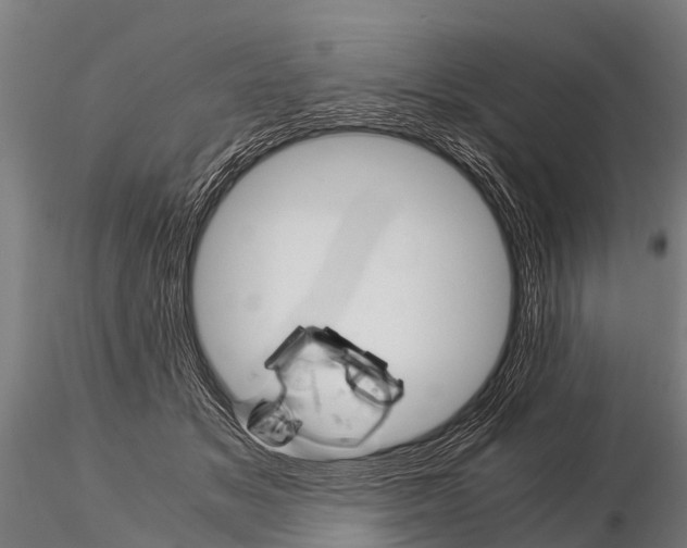 X0000115210509200912091201