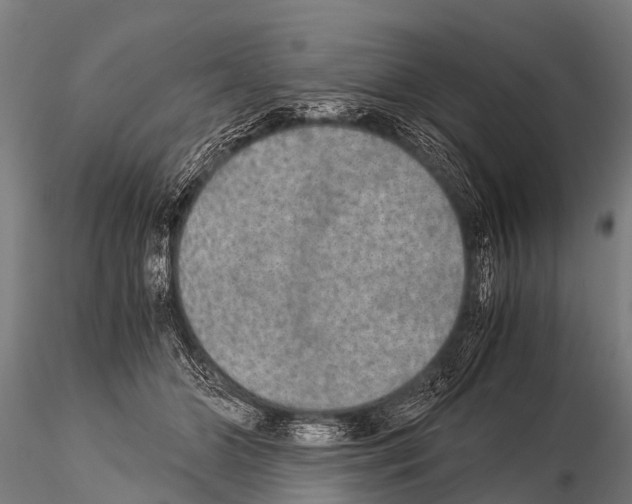 X0000115210510200912091201