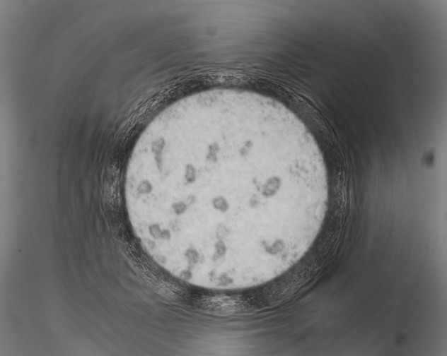 X0000115210511200912091201