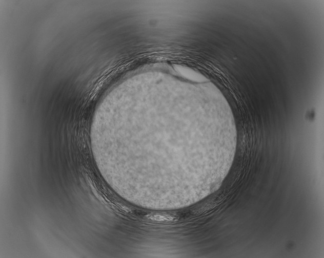 X0000115210512200912091201