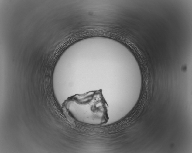 X0000115210513200912091201