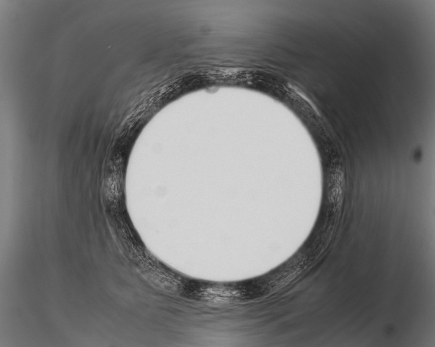 X0000115210515200912091200