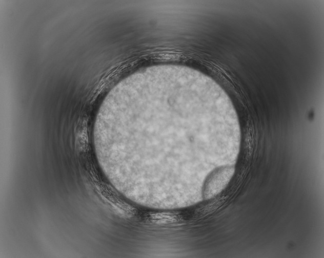 X0000115210516200912091200