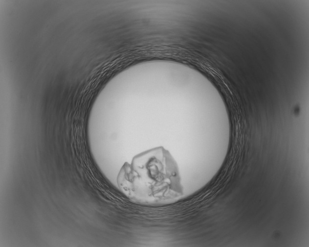 X0000115210517200912091200