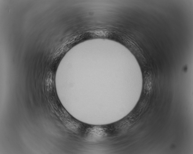 X0000115210518200912091200