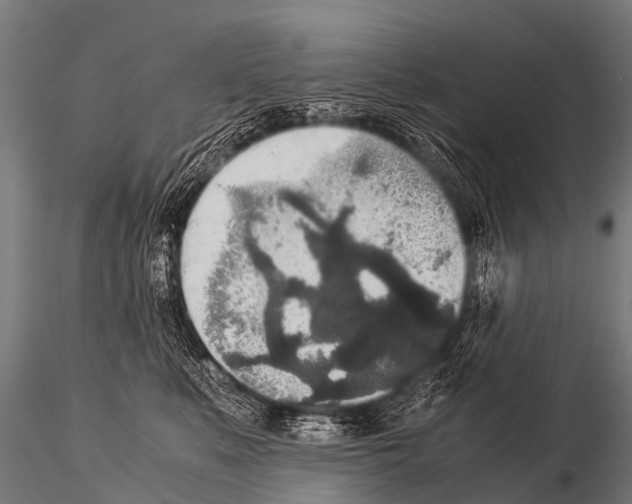 X0000115210519200912091200