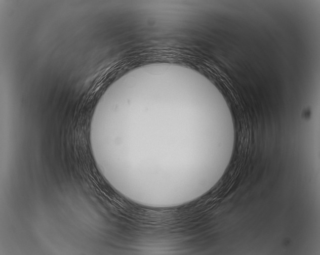 X0000115210520200912091200