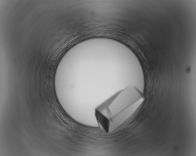 X0000115210521200912091200